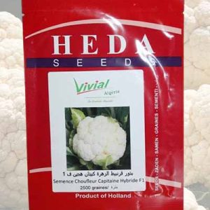 Semence chou-fleur hybride