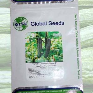 Semence concombre algérie