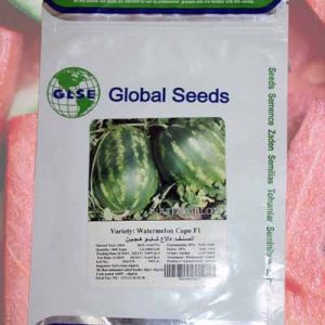 Semence pastèque en algérie