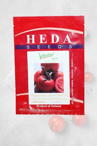 Semence tomate hybride